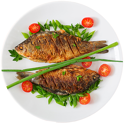 Grilled Octopus Salad